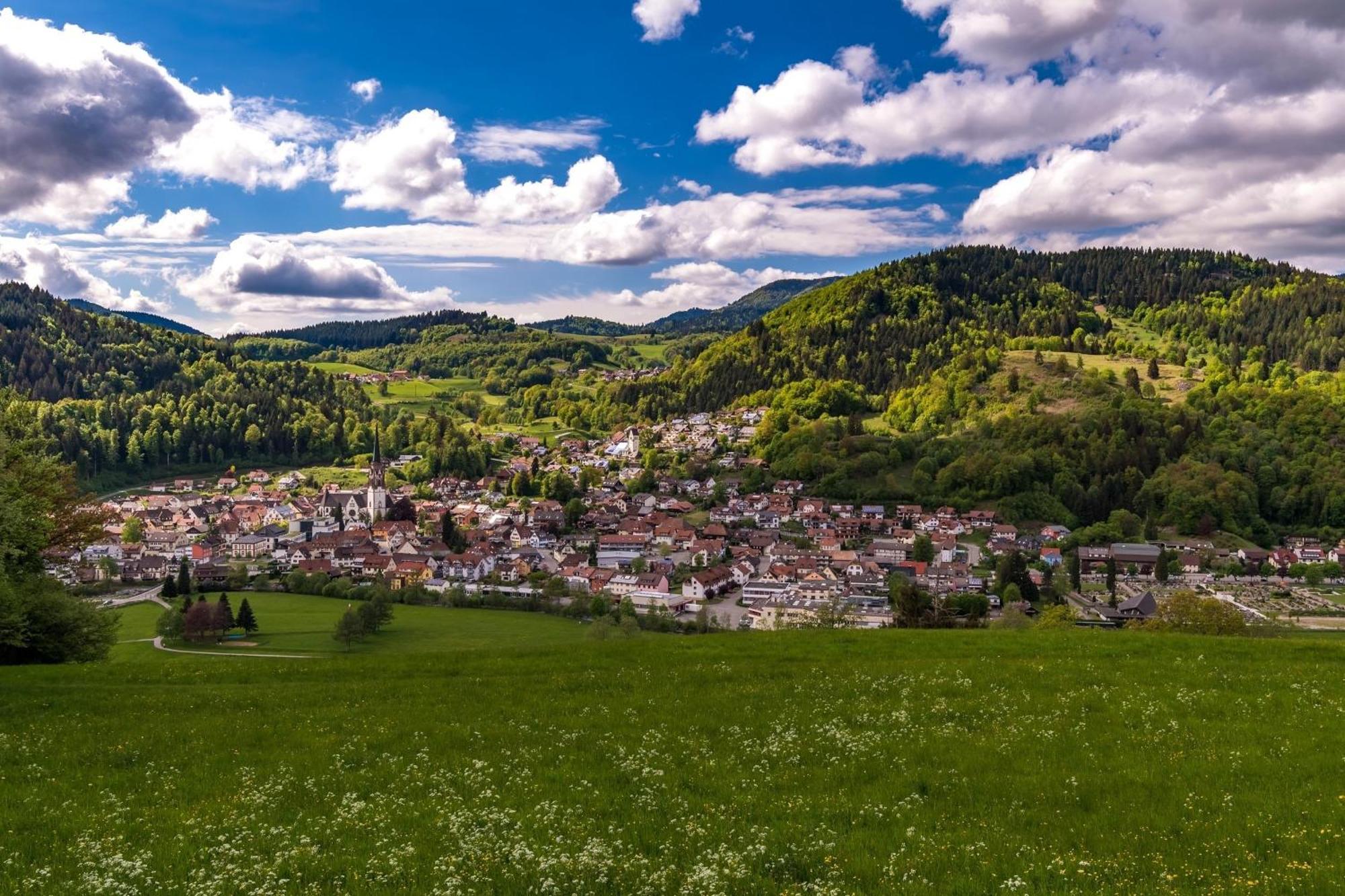 Ferienwohnung Kleine Auszeit Schonau im Schwarzwald Exterior photo